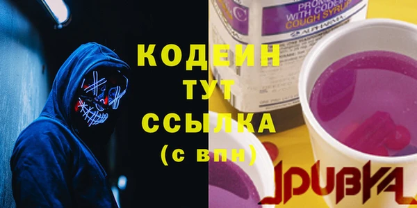 скорость Новозыбков
