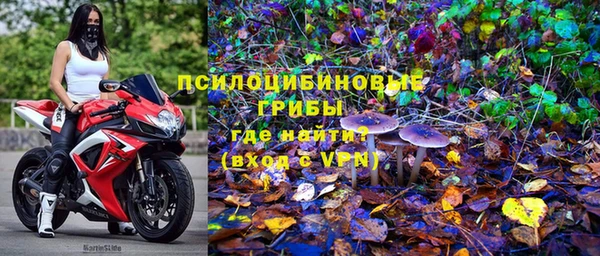 герыч Новодвинск